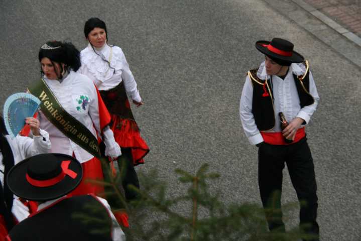 fasching_2008_289.jpg