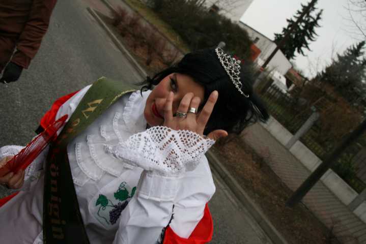 fasching_2008_298.jpg