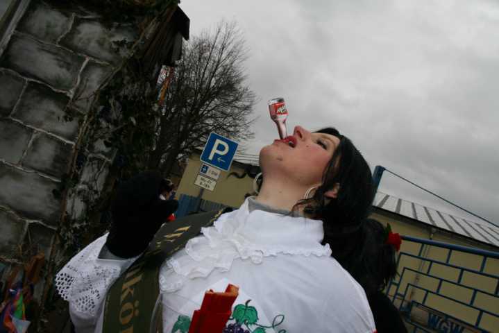 fasching_2008_350.jpg
