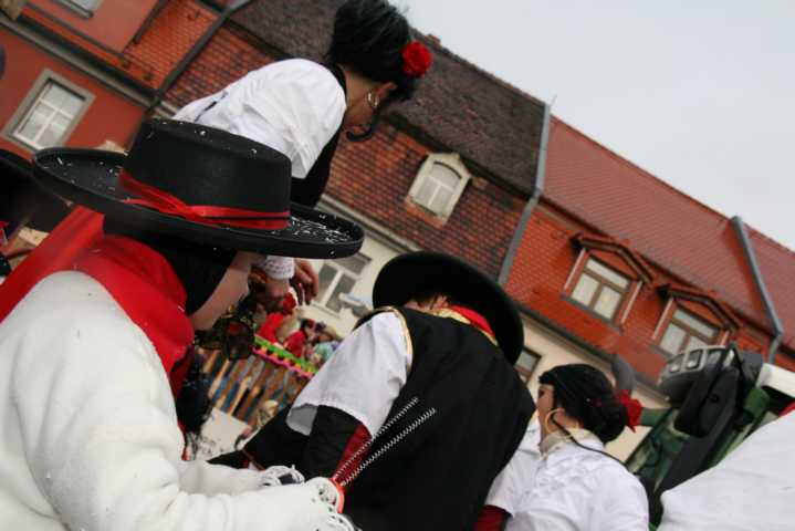 fasching_2008_404.jpg