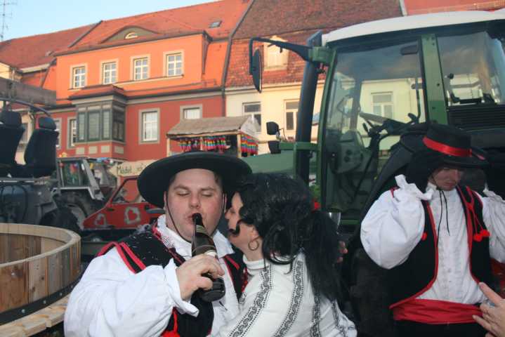 fasching_2008_560.jpg