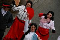 fasching_2008_287.jpg