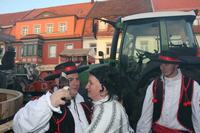 fasching_2008_562.jpg