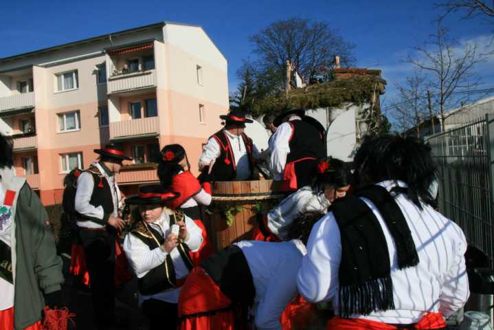 fasching_2008_039.jpg