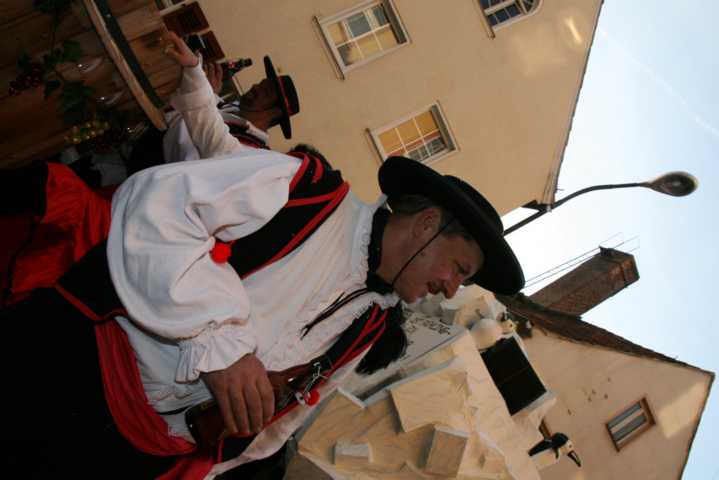 fasching_2008_130.jpg