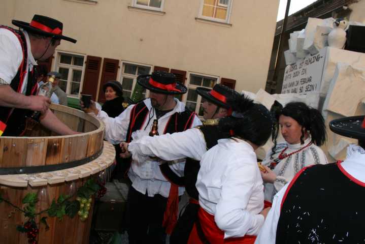 fasching_2008_132.jpg