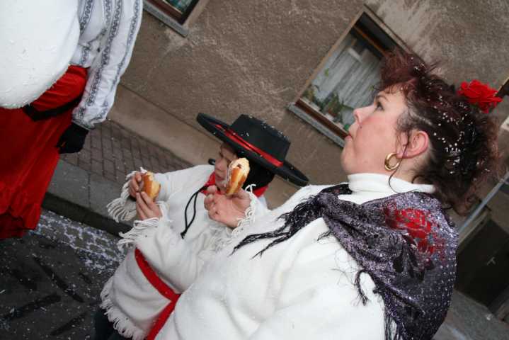 fasching_2008_170.jpg