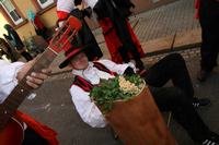 fasching_2008_114.jpg