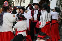 fasching_2008_173.jpg