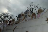 img_5515.jpg