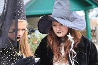 umzug_rabu_15.02.15_205.jpg